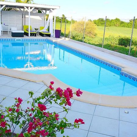 Villa Amethyste Avec Grande Piscine Privee, Jardin Clos, Parking Prive 勒罗贝尔 外观 照片